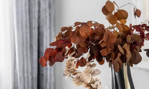 2031年農(nóng)歷正月初八搬新家吉利嗎 這天搬進(jìn)新房順不順利