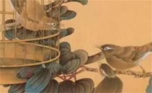 手機(jī)號(hào)碼招桃花數(shù)字 女性手機(jī)號(hào)桃花運(yùn)最強(qiáng)