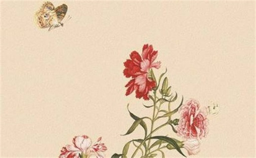 6368尾號(hào)磁場(chǎng)如何  手機(jī)尾號(hào)6368的寓意