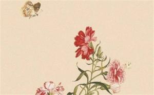 6368尾號(hào)磁場(chǎng)如何  手機(jī)尾號(hào)6368的寓意