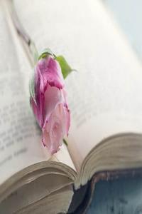 學(xué)習(xí)成績(jī)好的幾大星座