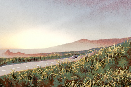 老黃歷擇日?2024年六月生肖屬猴什么日子提車最好