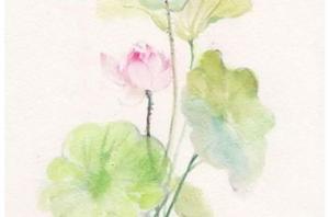 卜算子算命網(wǎng)