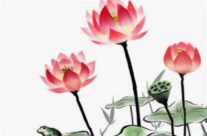 卜算子算命網(wǎng)