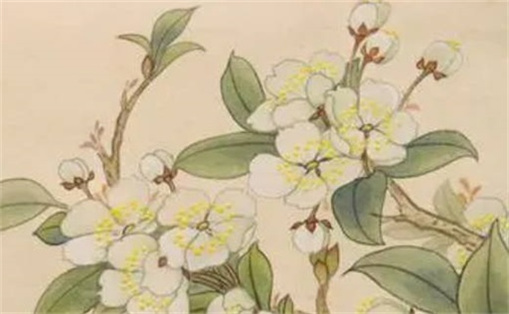 火命手機(jī)號(hào)最旺財(cái)?shù)奈矓?shù) 五行屬火手機(jī)號(hào)碼選擇