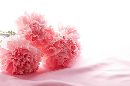 辛金日干的人一生運勢如何