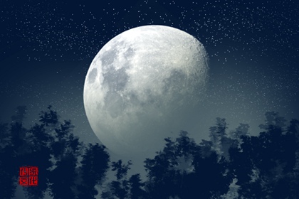 夢見狗咬死貓是什么意思 周公解夢