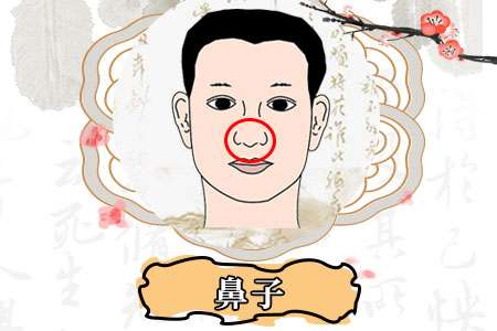 通過(guò)鼻子看是否窮相,窮相有哪些特征