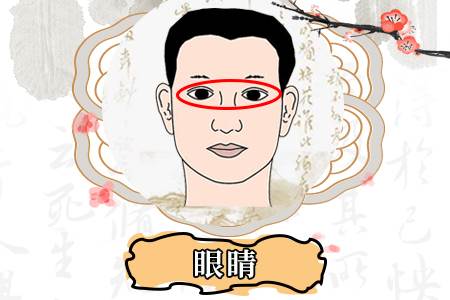 眼睛黑白分明的人命運如何,眼睛面相詳解