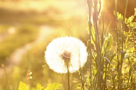 夢見被蛇咬是什么征兆