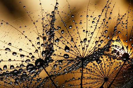 夢見被蛇咬是什么征兆