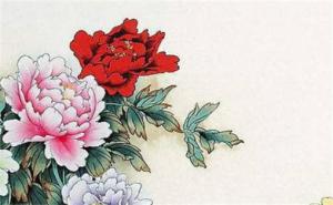 招財(cái)招桃花的手機(jī)號(hào) 怎么選手機(jī)號(hào)碼旺自己