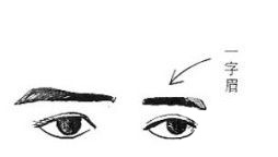 什么樣的眉毛能聚財,聚財?shù)拿济?>
                            </div>
                            <dl class=