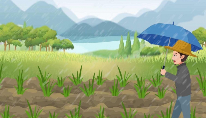 2024年2月19日是什么日子 每年2月19日是什么節(jié)日