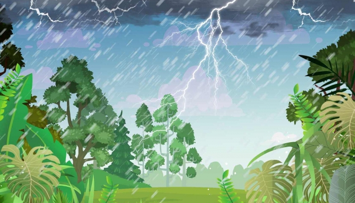 2024年3月5日是什么日子 每年3月5日是什么節(jié)日