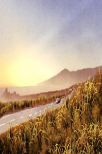 卜算子算命網(wǎng)