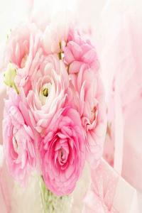 2024年天蝎座幾月財(cái)運(yùn)最好？哪個(gè)月財(cái)運(yùn)好？