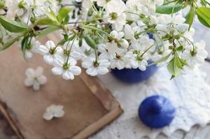 屬牛白羊座2024年運勢及運程詳解