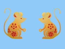 屬鼠人2024年整體運(yùn)勢(shì)