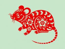 屬鼠2024年運(yùn)勢(shì)及運(yùn)程詳解