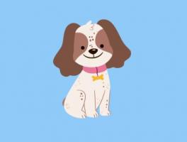 1996年屬鼠人最難熬年齡