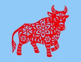 屬牛的人2024年適合結(jié)婚嗎