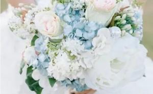 卜算子算命網(wǎng)