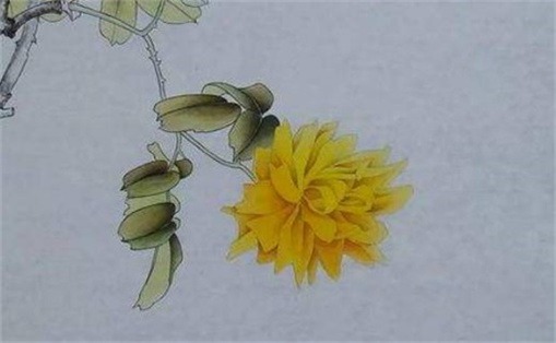 手機(jī)尾號(hào)最聚財(cái)?shù)臄?shù)字 手機(jī)尾號(hào)吉利推薦