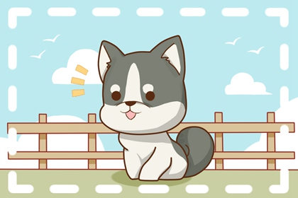 2024年屬狗人犯太歲嗎 化解太歲的方法