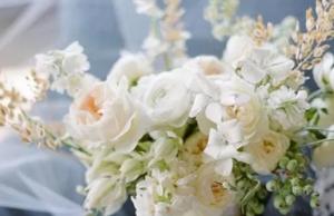 卜算子算命網(wǎng)