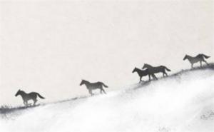 手機號碼5559跟6665 手機尾數吉利數大全后四位