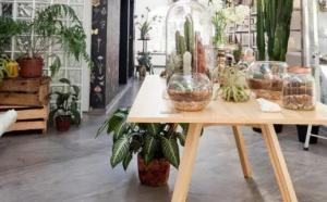 卜算子算命網(wǎng)