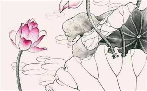 最招財?shù)臄?shù)字1到81 號碼運勢查詢手機號碼