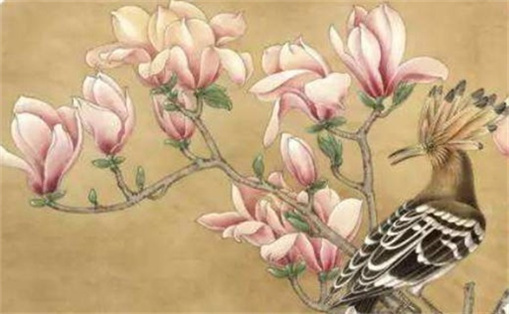 數(shù)字能量31和13要怎么使用 數(shù)字能量313能守財嗎