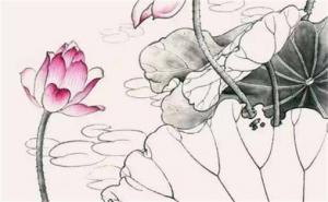 最招財(cái)?shù)臄?shù)字1到81 號(hào)碼運(yùn)勢(shì)查詢手機(jī)號(hào)碼