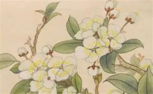 易經(jīng)中最好的三個(gè)數(shù)字 電話號(hào)碼選什么數(shù)字好財(cái)運(yùn)