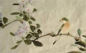 吸財(cái)守財(cái)?shù)?位數(shù)字組合 帶財(cái)帶貴人的手機(jī)號(hào)