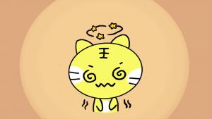 12星座喜歡什么動(dòng)物