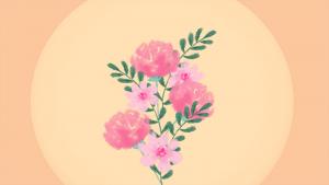 十二星座的守護(hù)花