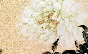 男人不能用的號碼尾數(shù) 手機(jī)號最好的磁場組合