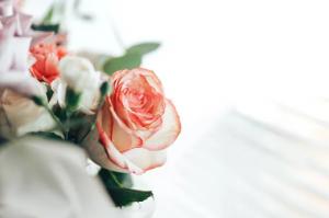 卜算子算命網(wǎng)