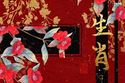 12生肖豬和什么生肖配 和生肖兔是最佳夫妻配對(duì)之一