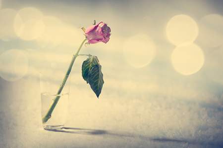 2024年，有哪些八字特征的人容易破財(cái)