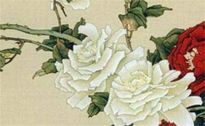 尾號(hào)5556手機(jī)號(hào)寓意什么 手機(jī)號(hào)碼尾數(shù)什么數(shù)字好