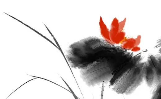 臘月份出生的是什么星座 為什么人怕臘月生