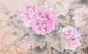 手機(jī)尾號(hào)為00代表什么 手機(jī)尾號(hào)5555代表什么