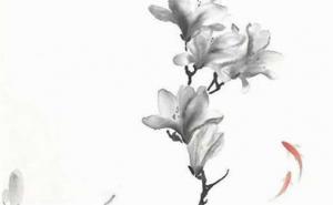 手機尾數(shù)后四位旺財8877 如何選擇手機號碼吉利數(shù)字