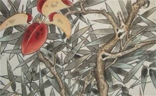 2024年除夕出生的男孩好嗎 男孩大年三十出生好嗎