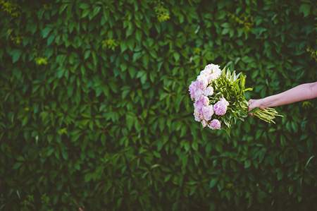 屬羊人2024年全年運(yùn)勢運(yùn)程_屬羊2024年運(yùn)勢好不好