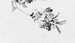 門前種什么花最旺財(cái)旺人 鴻運(yùn)當(dāng)頭富貴來財(cái)